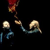 Deep Forest - List pictures