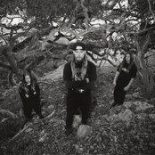 Deeds Of Flesh - List pictures