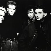 Depeche Mode - List pictures