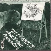 The Donkeys - List pictures