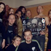 Forgive-me-not - List pictures