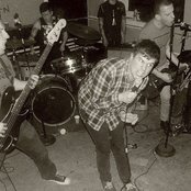 Night Birds - List pictures