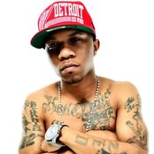 Zed Zilla - List pictures