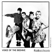 Voice Of The Beehive - List pictures