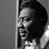 Muddy Waters - List pictures