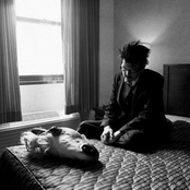 Sparklehorse - List pictures
