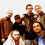 Dub Inc - List pictures