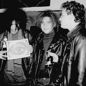 Caifanes - List pictures