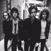Catfish And The Bottlemen - List pictures