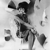 Millie - List pictures