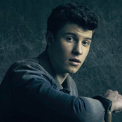 Shawn Mendes - List pictures