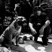 Dj Muggs - List pictures