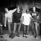 The Urge - List pictures