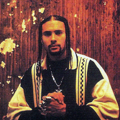 Chino Xl - List pictures