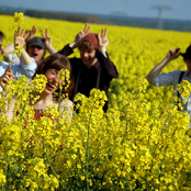 Chapeau Claque - List pictures