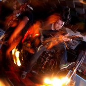 The Bunny The Bear - List pictures