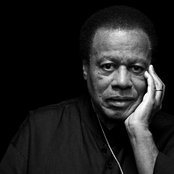 Wayne Shorter - List pictures