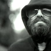 Eels - List pictures