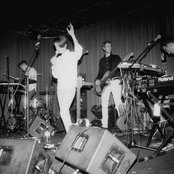 Diana - List pictures