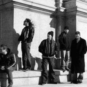 Believer - List pictures