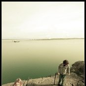 The Lonely Forest - List pictures