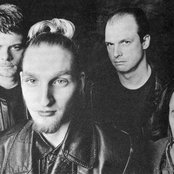 Mad Season - List pictures