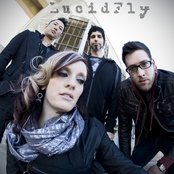 Lucid Fly - List pictures