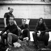 Old Dead Tree - List pictures