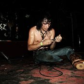 An Albatross - List pictures