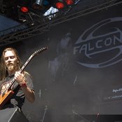 Falconer - List pictures