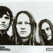 Urge Overkill - List pictures