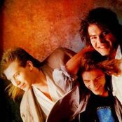 Alphaville - List pictures