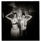 The Ditty Bops - List pictures