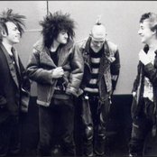 Disorder - List pictures