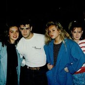 Timbiriche - List pictures