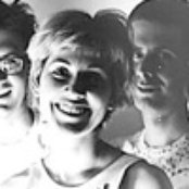 Suarez - List pictures