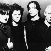 Siouxie - List pictures