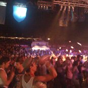 Bertie Blackman - List pictures