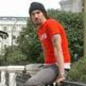 Macaco - List pictures