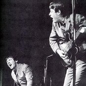 The Animals - List pictures