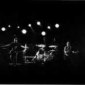 Shellac - List pictures