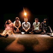 Goose - List pictures