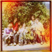 Fanfarlo - List pictures