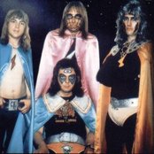 Chicory Tip - List pictures