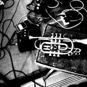 Mirt - List pictures