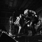 Alpine - List pictures