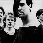 Human League - List pictures