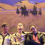The Amazing Snakeheads - List pictures