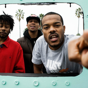 Pac Div - List pictures