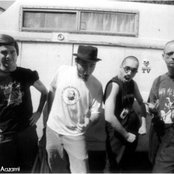 Bad Acid Trip - List pictures